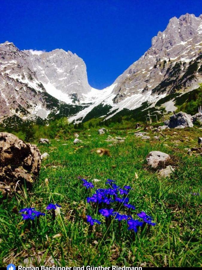 Landhaus Bergmoment - Adults Only Елмау Екстериор снимка